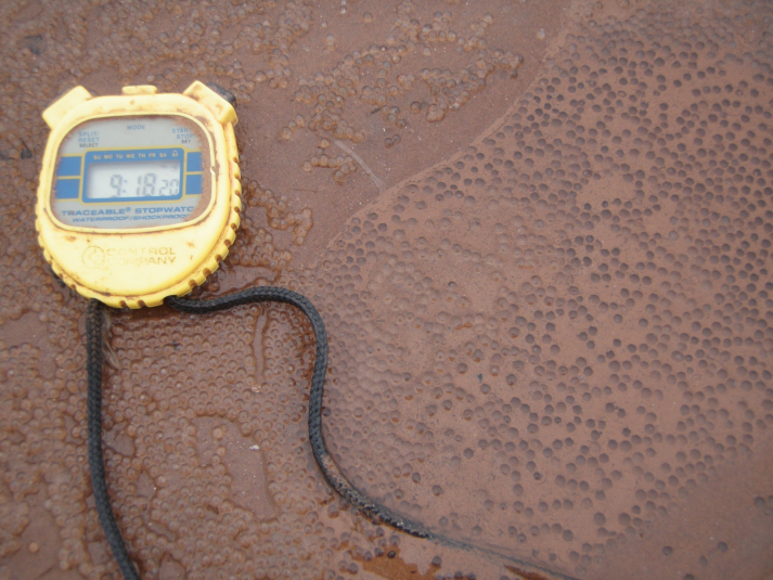 Spawning Characteristics Striped Bass Research Team